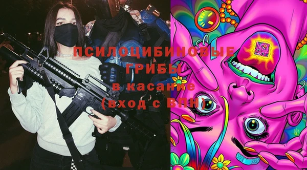 героин Михайлов