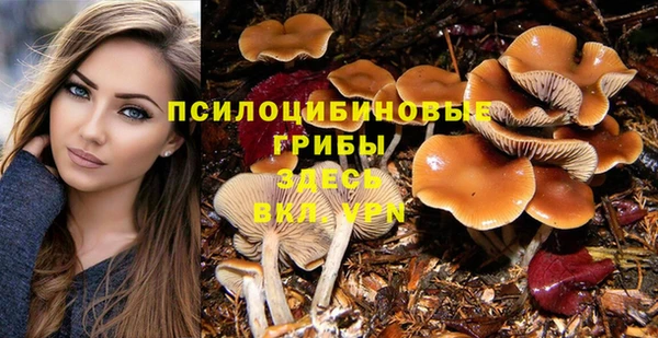 дурь Михайловка