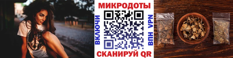 Псилоцибиновые грибы GOLDEN TEACHER  omg ссылка  Богучар 